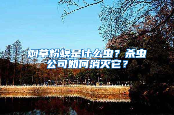 煙草粉螟是什么蟲(chóng)?殺蟲(chóng)公司如何消滅它?