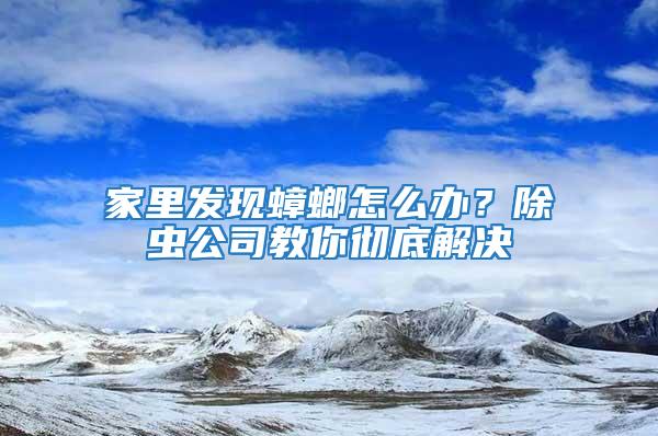 家里發現蟑螂怎么辦?除蟲公司教你徹底解決