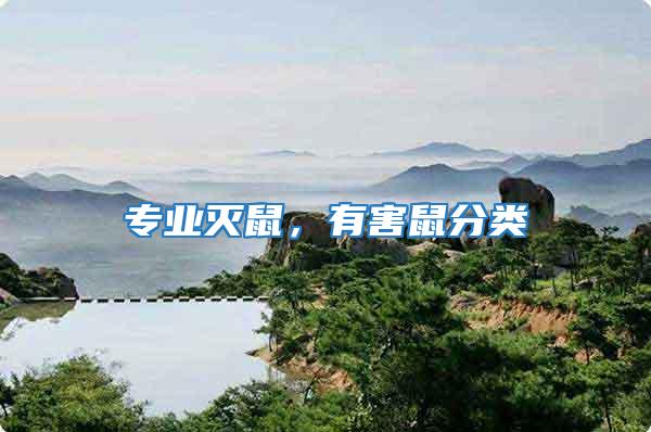 專業滅鼠，有害鼠分類