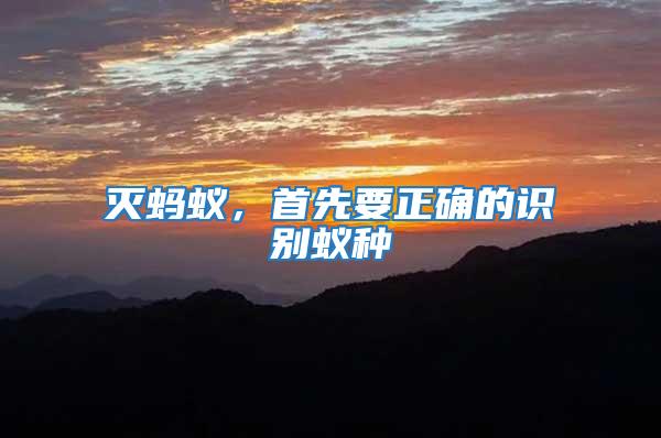 滅螞蟻,首先要正確的識別蟻種