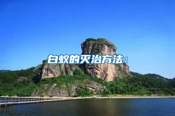 白蟻的滅治方法:
