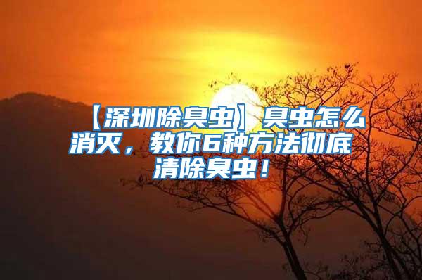 【深圳除臭蟲】臭蟲怎么消滅,教你6種方法徹底清除臭蟲!