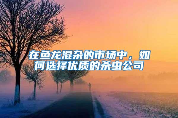 在魚龍混雜的市場中，如何選擇優質的殺蟲公司