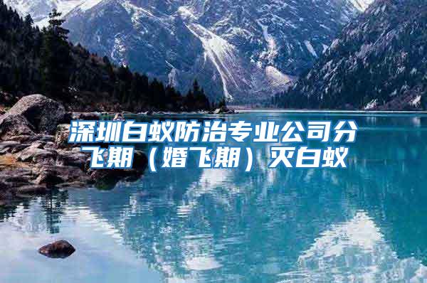 深圳白蟻防治專業公司分飛期(婚飛期)滅白蟻