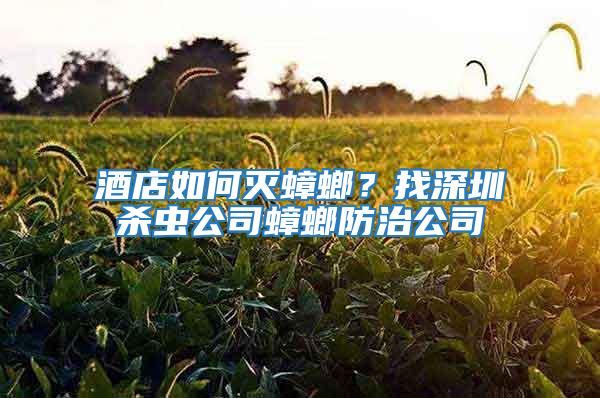 酒店如何滅蟑螂?找深圳殺蟲公司蟑螂防治公司