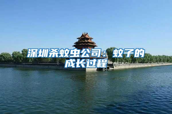 深圳殺蚊蟲公司:蚊子的成長過程