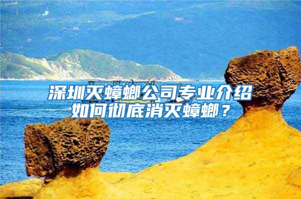 深圳滅蟑螂公司專業介紹如何徹底消滅蟑螂?