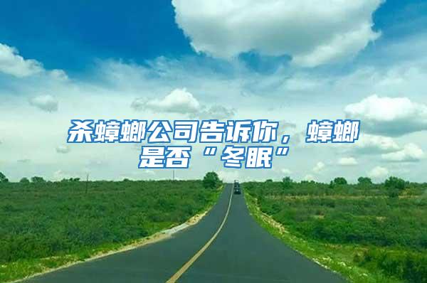 殺蟑螂公司告訴你,蟑螂是否“冬眠”