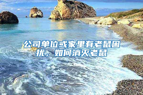 公司單位或家里有老鼠困擾，如何消滅老鼠