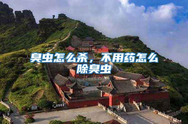 臭蟲怎么殺,不用藥怎么除臭蟲