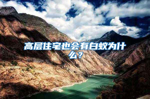 高層住宅也會有白蟻為什么？