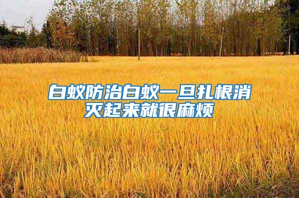 白蟻防治白蟻一旦扎根消滅起來(lái)就很麻煩