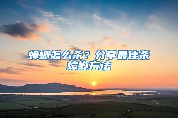 蟑螂怎么殺?分享最佳殺蟑螂方法