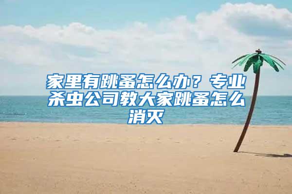 家里有跳蚤怎么辦？專業殺蟲公司教大家跳蚤怎么消滅
