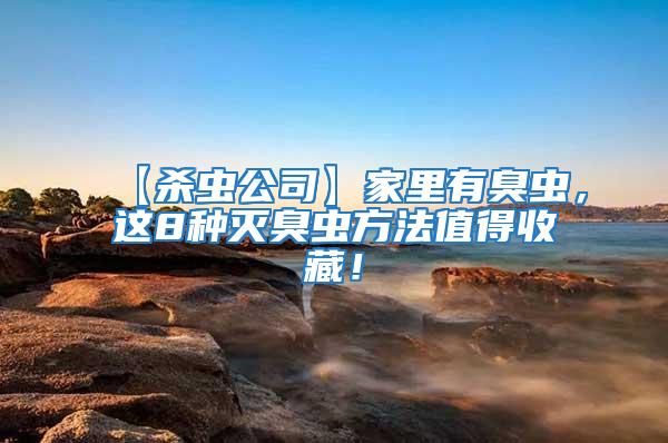 【殺蟲公司】家里有臭蟲,這8種滅臭蟲方法值得收藏!