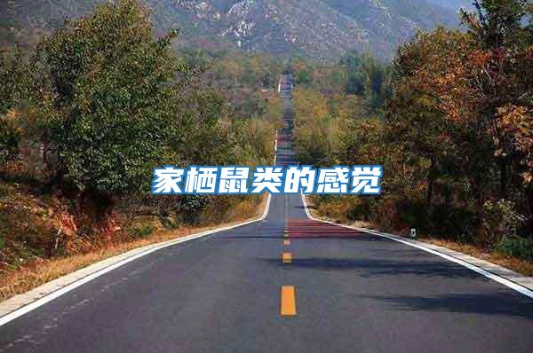 家棲鼠類的感覺(jué)