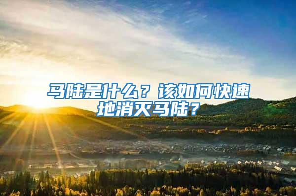 馬陸是什么?該如何快速地消滅馬陸?