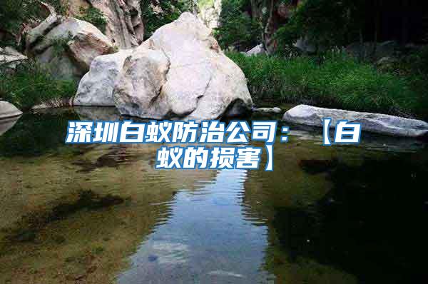 深圳白蟻防治公司:【白蟻的損害】