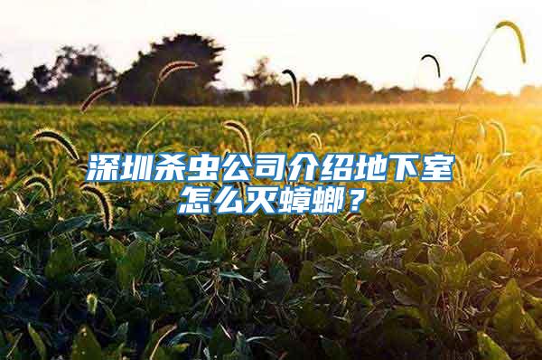 深圳殺蟲公司介紹地下室怎么滅蟑螂？