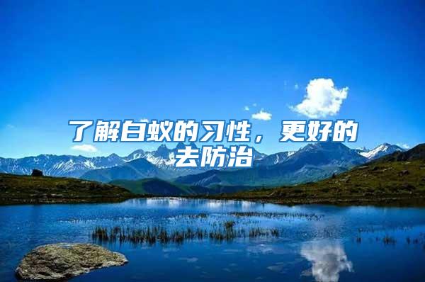了解白蟻的習(xí)性,更好的去防治