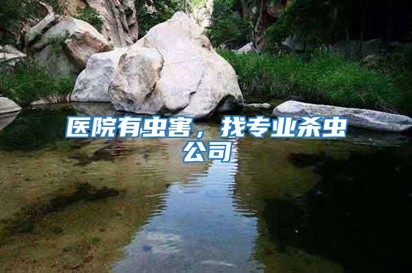 醫院有蟲害,找專業殺蟲公司