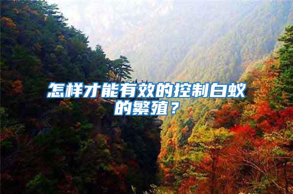 怎樣才能有效的控制白蟻的繁殖?