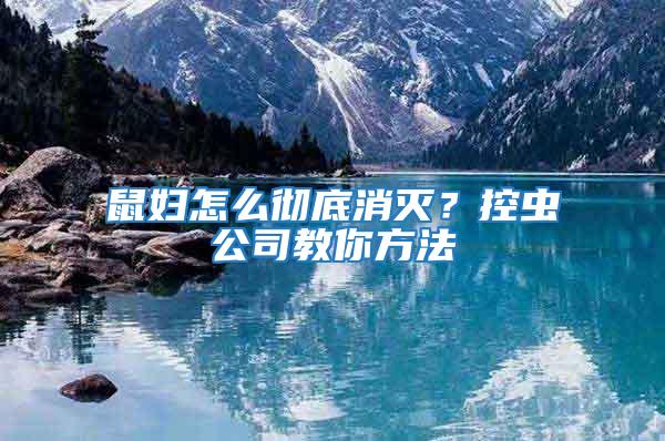 鼠婦怎么徹底消滅？控蟲公司教你方法