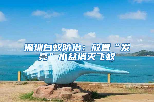 深圳白蟻防治:放置“發(fā)亮”水盆消滅飛蟻