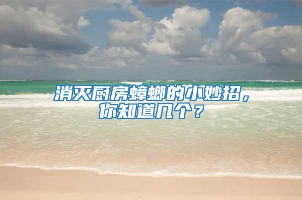 消滅廚房蟑螂的小妙招,你知道幾個?
