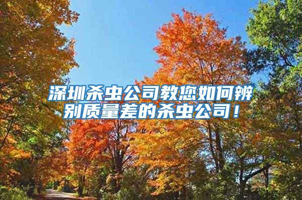 深圳殺蟲公司教您如何辨別質量差的殺蟲公司!