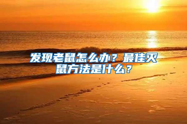 發現老鼠怎么辦?最佳滅鼠方法是什么?
