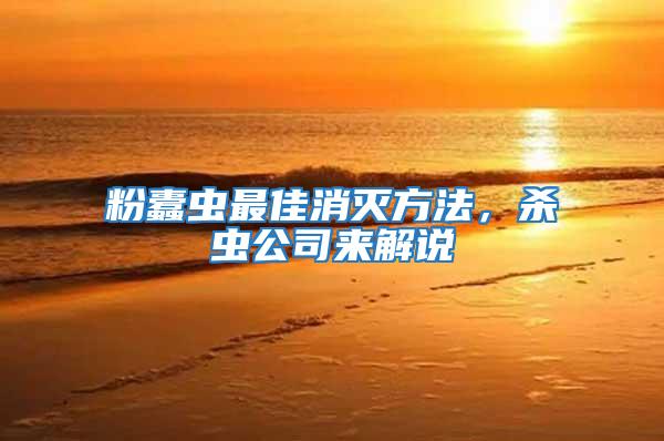 粉蠹蟲最佳消滅方法,殺蟲公司來解說