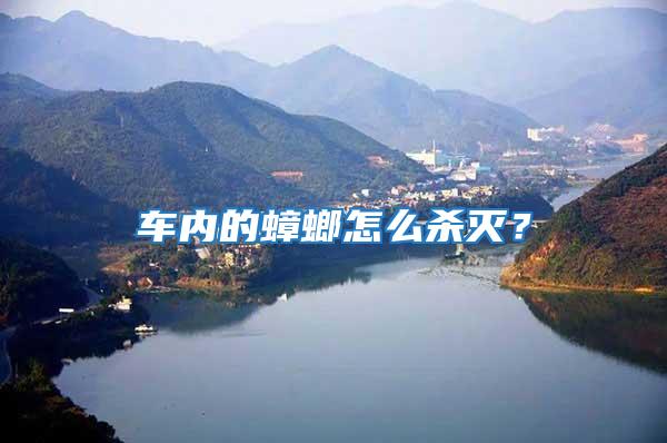 車內的蟑螂怎么殺滅?