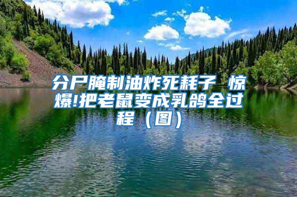 分尸腌制油炸死耗子 驚爆!把老鼠變成乳鴿全過程(圖)