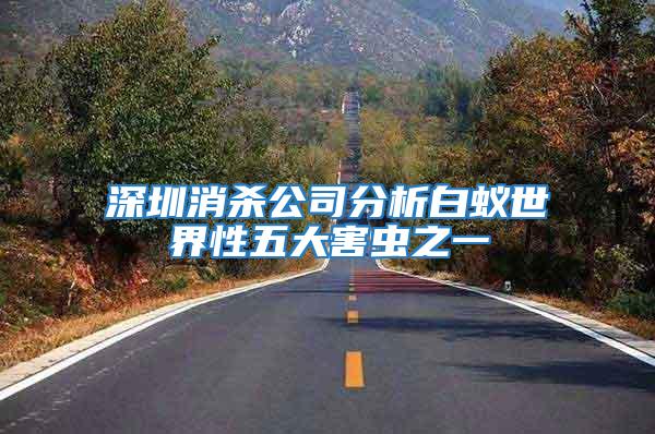 深圳消殺公司分析白蟻世界性五大害蟲(chóng)之一