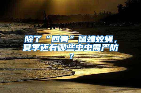 除了“四害”鼠蟑蚊蠅,夏季還有哪些蟲蟲需嚴防?