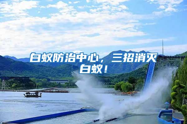 白蟻防治中心,三招消滅白蟻!