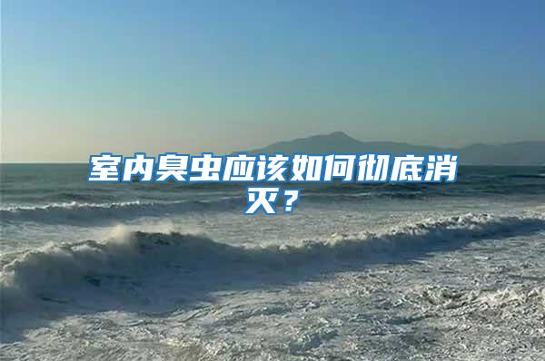 室內臭蟲應該如何徹底消滅?