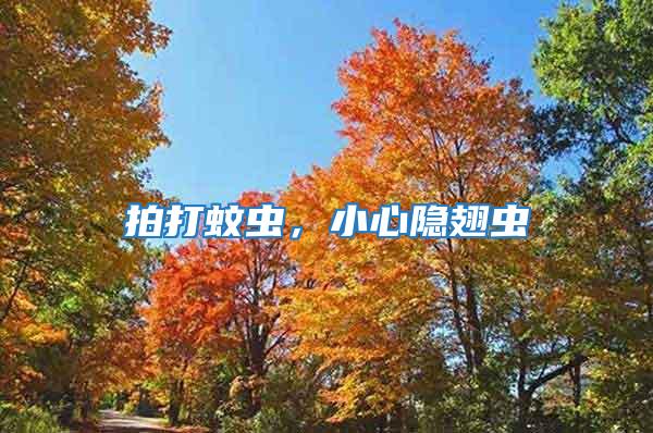 拍打蚊蟲，小心隱翅蟲