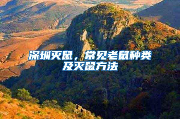 深圳滅鼠，常見老鼠種類及滅鼠方法