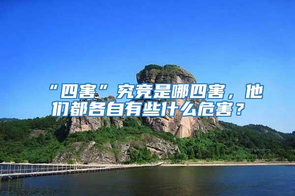 “四害”究競(jìng)是哪四害，他們都各自有些什么危害？