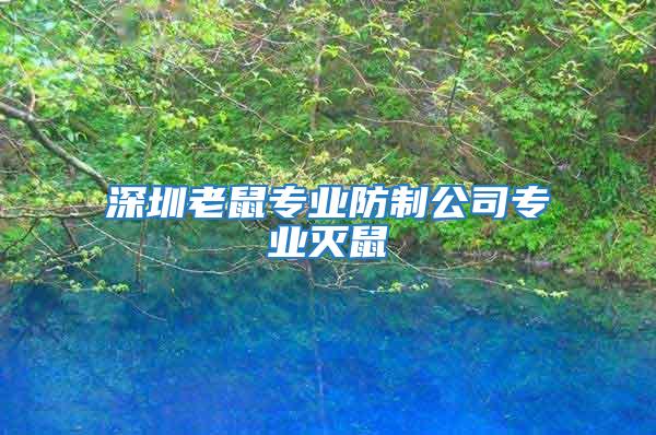 深圳老鼠專(zhuān)業(yè)防制公司專(zhuān)業(yè)滅鼠