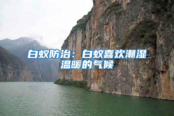 白蟻防治:白蟻喜歡潮濕溫暖的氣候