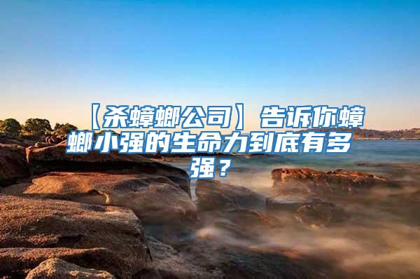【殺蟑螂公司】告訴你蟑螂小強的生命力到底有多強？