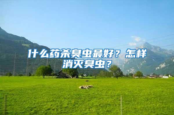 什么藥殺臭蟲最好?怎樣消滅臭蟲?