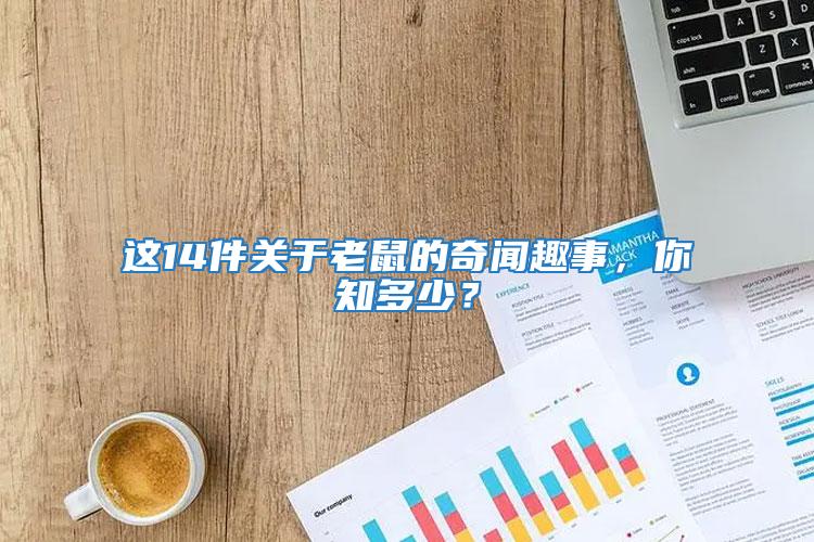 這14件關于老鼠的奇聞趣事,你知多少?