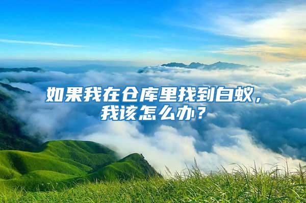 如果我在倉庫里找到白蟻,我該怎么辦?