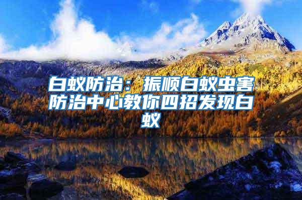 白蟻防治:振順白蟻蟲害防治中心教你四招發現白蟻