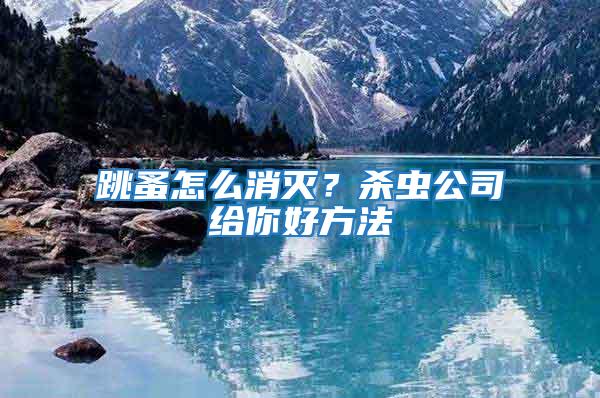 跳蚤怎么消滅?殺蟲公司給你好方法