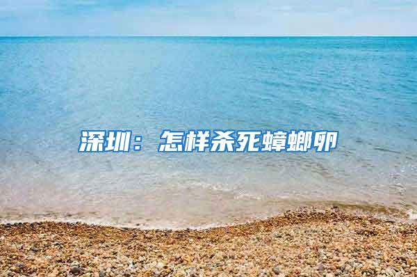 深圳:怎樣殺死蟑螂卵